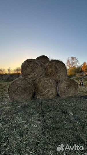 Сено в тюках