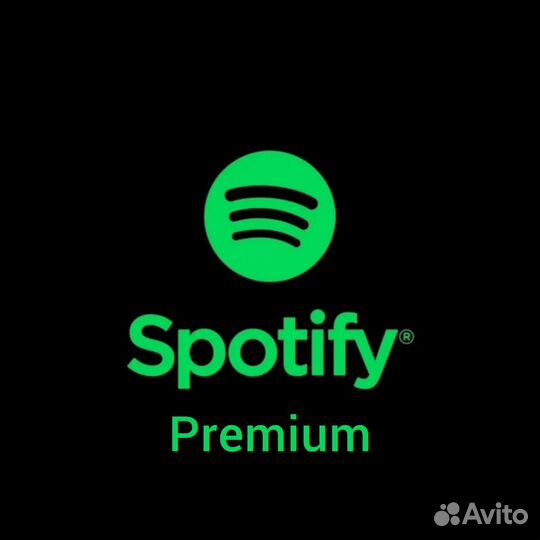 Spotify premium 1/3/6/12 месяцев