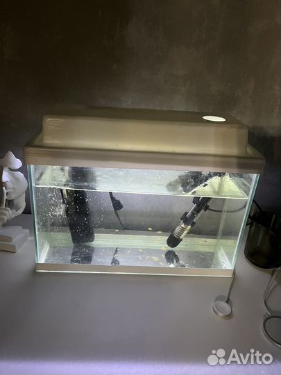 Аквариум с рыбками