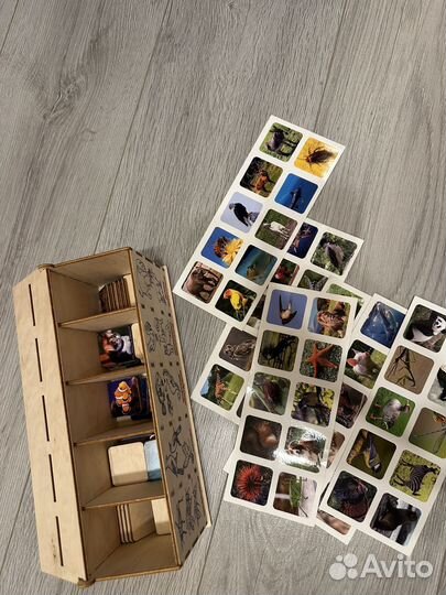 Сортер Животный мир