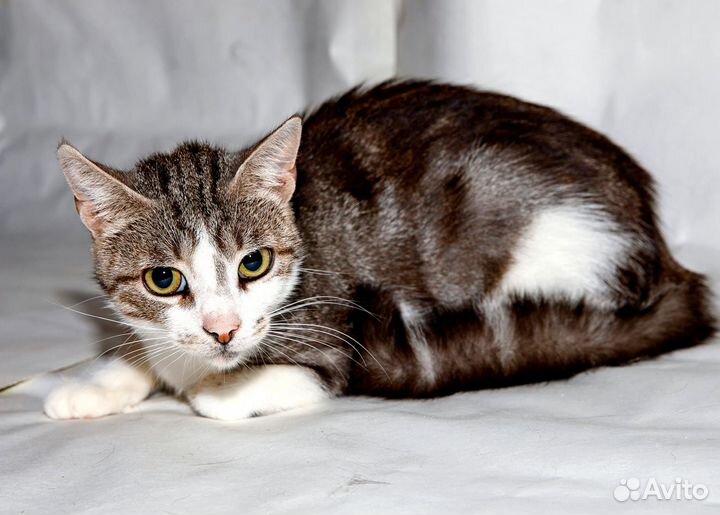 Нежная скромница ищет свое счастье