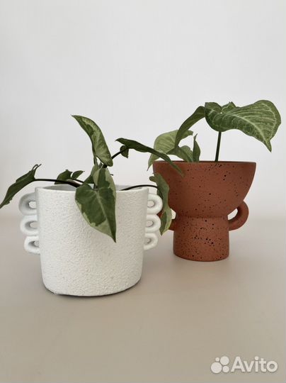 Кашпо ваза в стиле Бохо