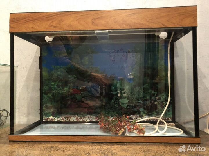 Аквариум