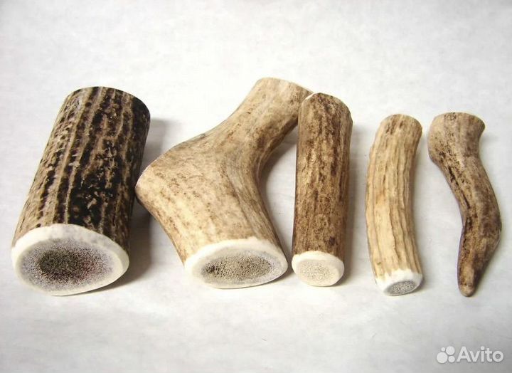 Лакомство для собак из рога лося
