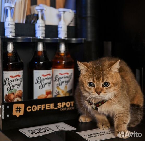 Кофейня самообслуживания бизнес под ключ