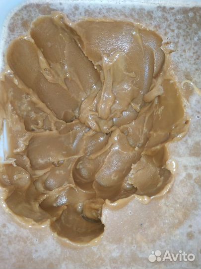 Гречишный, липовый мёд, перга 2023