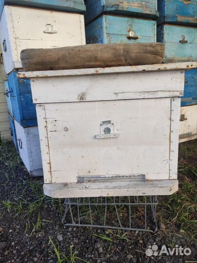 Продам ульи для пчел