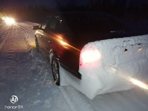 Skoda Octavia: фото владельца