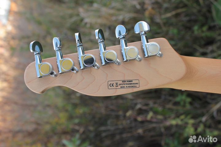 Harley Benton Deluxe Telecaster