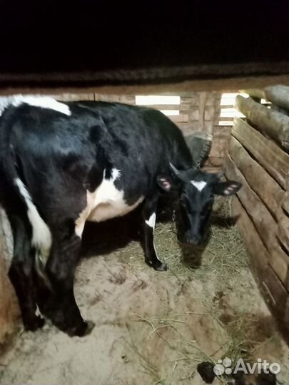 Частное лицо