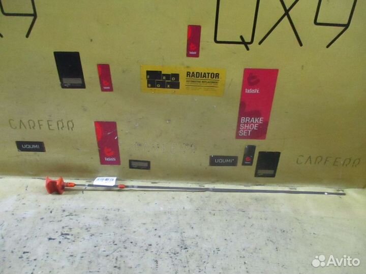 Щуп на Honda Stepwgn RF5 K20A