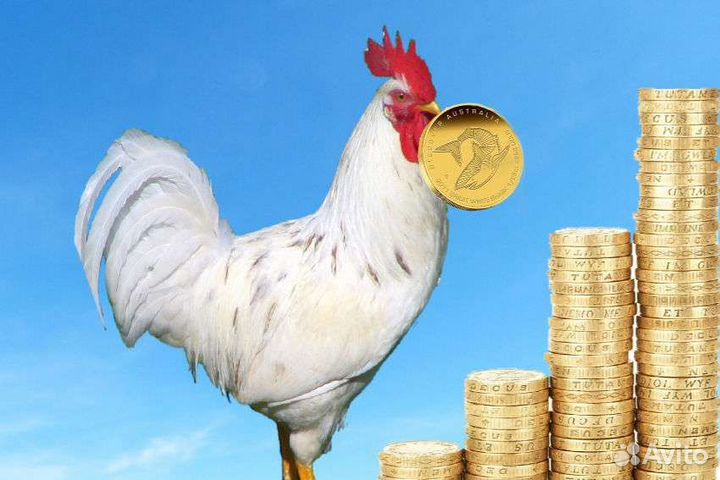 Вахта 20 смен, проживание и питание, Фасовщик м/ж