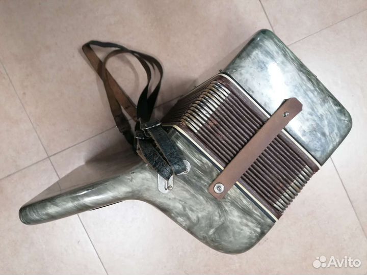 Аккордеон 1/2