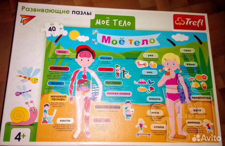 Развивающий пазл Моё тело