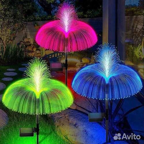 Двойных медуз и звездных солнечных цветочных