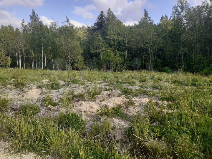 Участок 21 сот. (СНТ, ДНП)