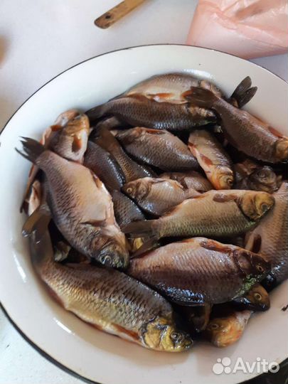 Карась патрашеный, мытый, чищенный