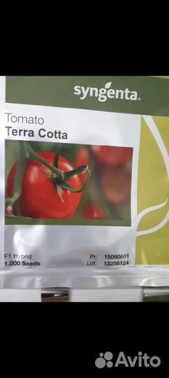 Продаем семена томатов