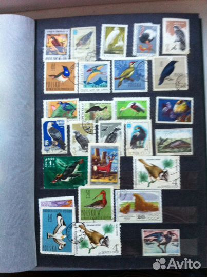 Альбом марок