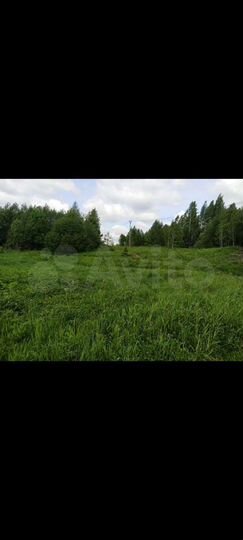 Участок 38,3 сот. (СНТ, ДНП)