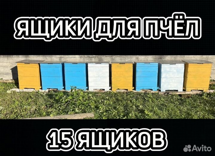 Ящики для пчёл