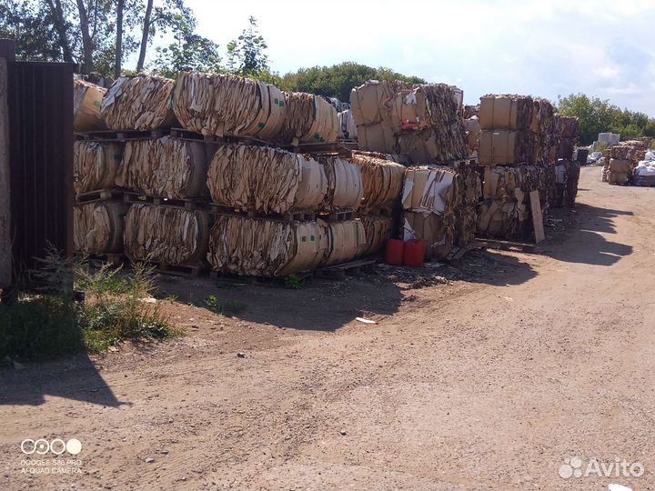 Прием и вывоз картона