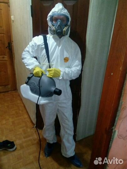 Дезинсекция Дезинфекция насекомых