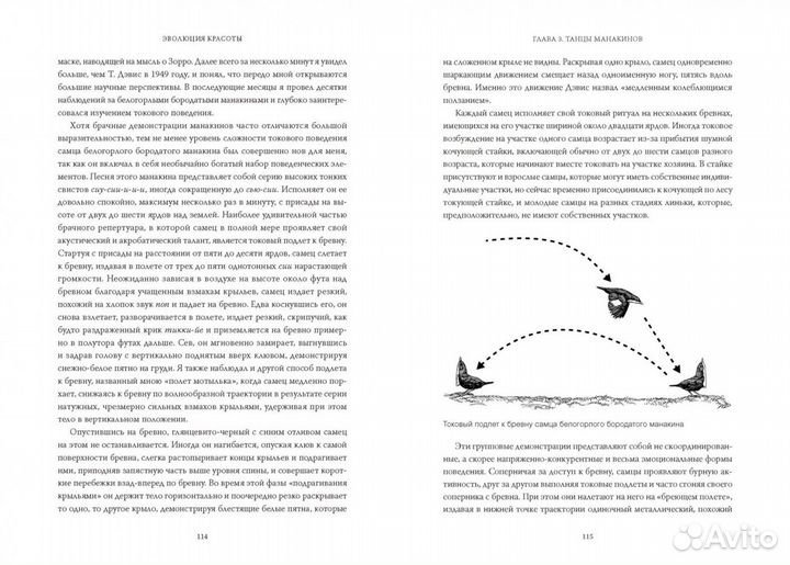 Новая книга Эволюция красоты - Ричард Прам миф
