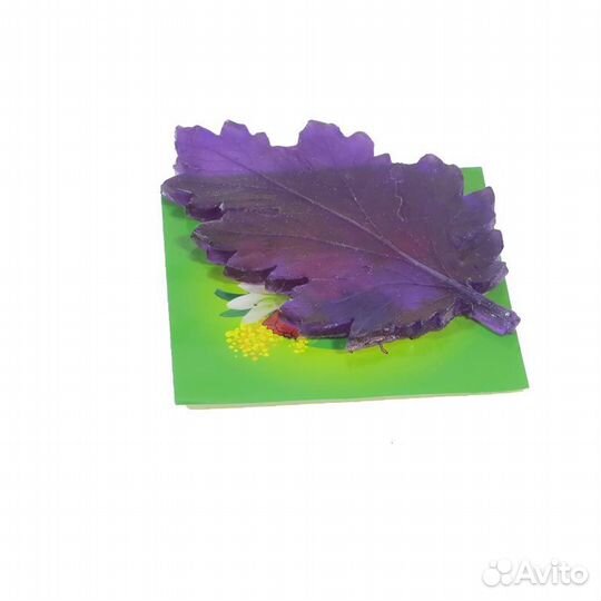 Молды для фоамирана, полимерной глины 61,66д,68,71