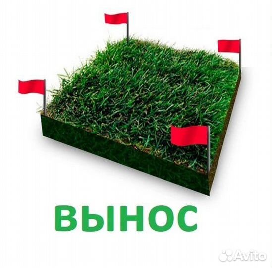 Межевание