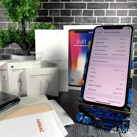 iPhone X, 256 ГБ