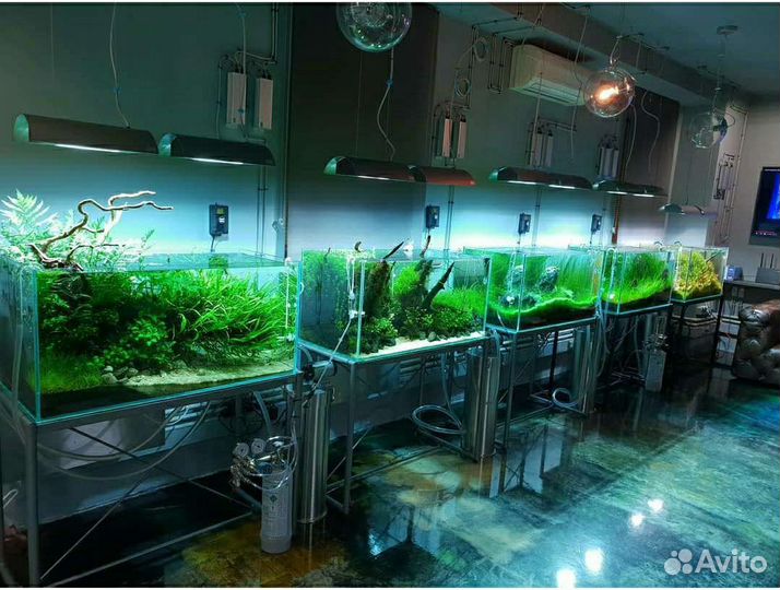 Оформление аквариума