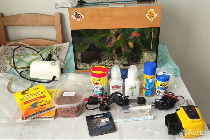 Аквариум со всем содержимым
