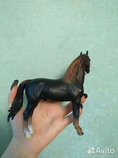 Лошадь коллекта. Collecta