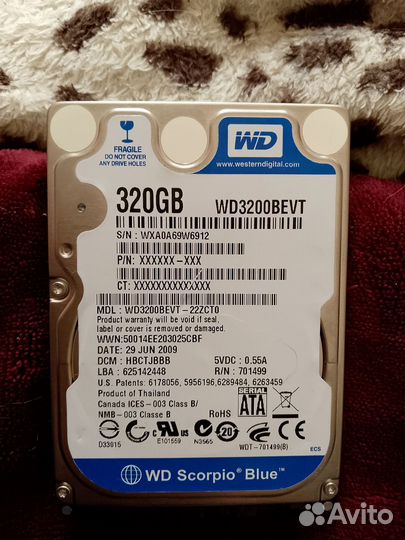 Wd scorpio blue