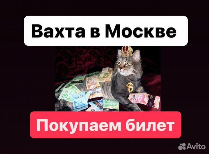 Сортировщики посылок вахта Москва билет покупаем
