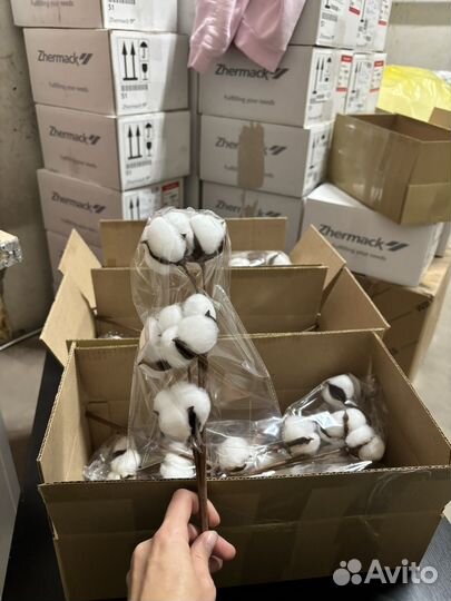 Хлопок декоративный 18 веток