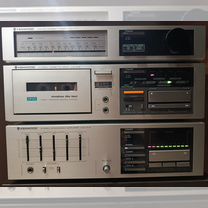 Kenwood SRM-9, Заречный