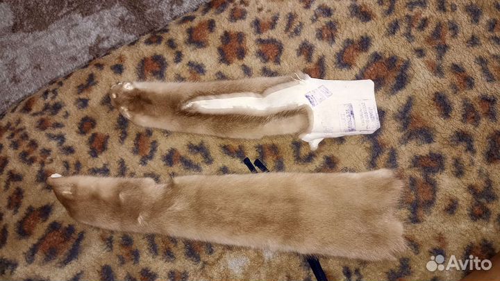 Шкуры норки