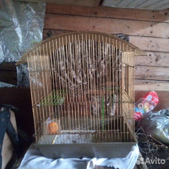 Клетка для грызунов большая