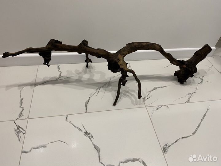 Коряги лоза