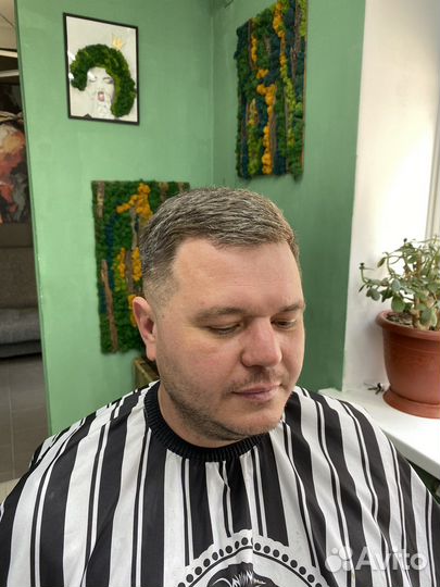 Модель на стрижку бесплатно