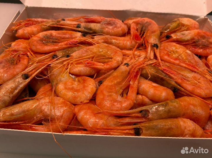 Креветка северная. Доставка. Опт