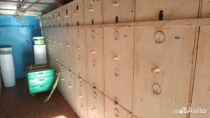 Павильон для пчёл