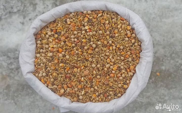 Комбикорм,пшеница,овёс,ячмень,просо,гранула