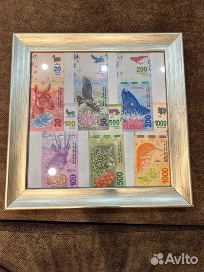 Коллекция аргентинские купюры флора и фауна