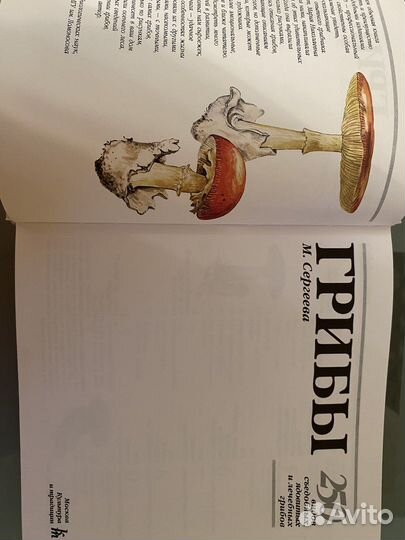 Грибы. 250 видов грибов