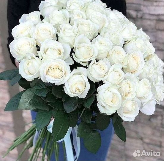 Высокие Розы Гиганты Доставка Круглосуточно