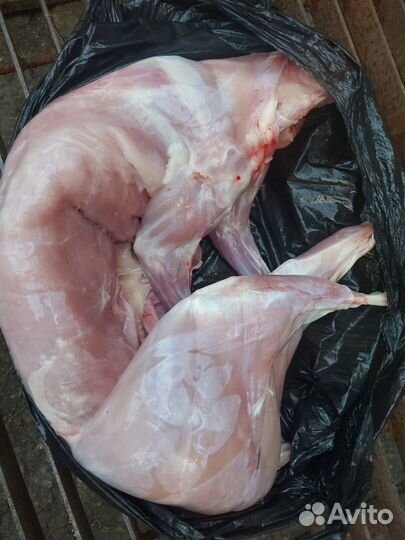 Кроликоферма