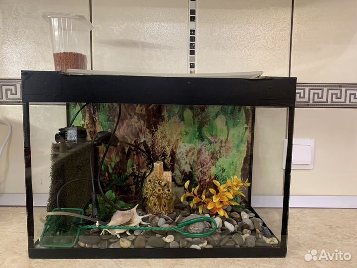 Аквариума